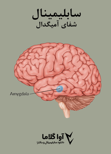 دانلود سابلیمینال شفای آمیگدال